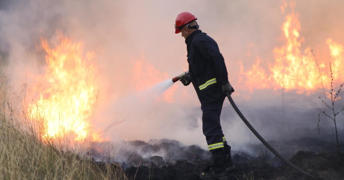 Solicitan extremar precauciones para evitar los incendios forestales