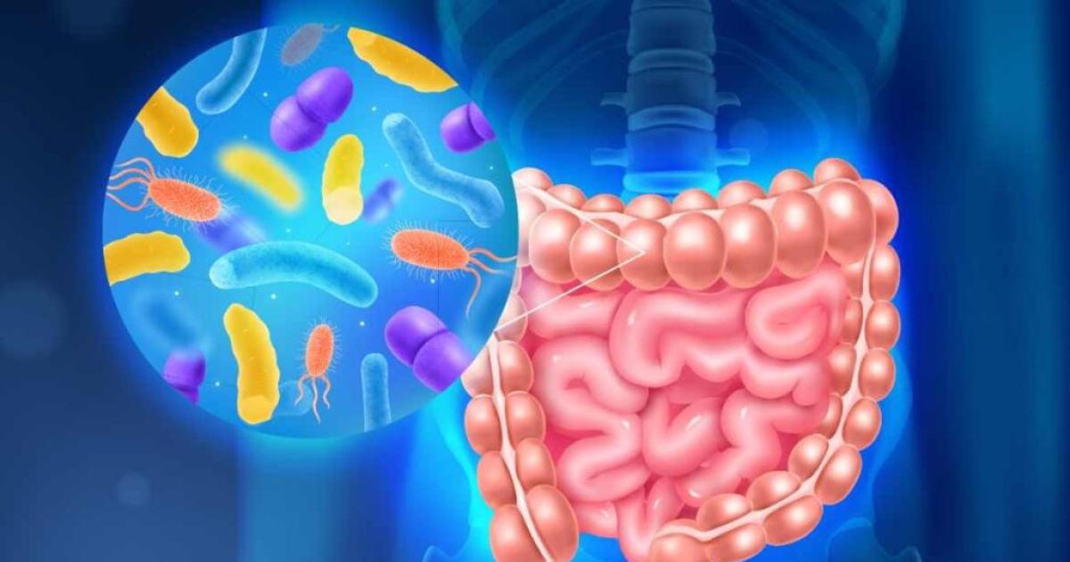 Organizan una charla sobre el Rol de la microbiota intestinal