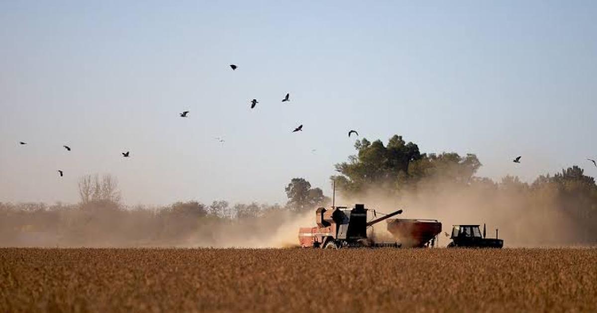 El Gobierno oficializoacute la baja de retenciones en el campo- coacutemo es el cronograma de reduccioacuten hasta 2028