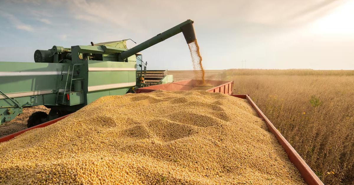El Gobierno oficializoacute el esquema de reduccioacuten gradual de las retenciones para sector del agro