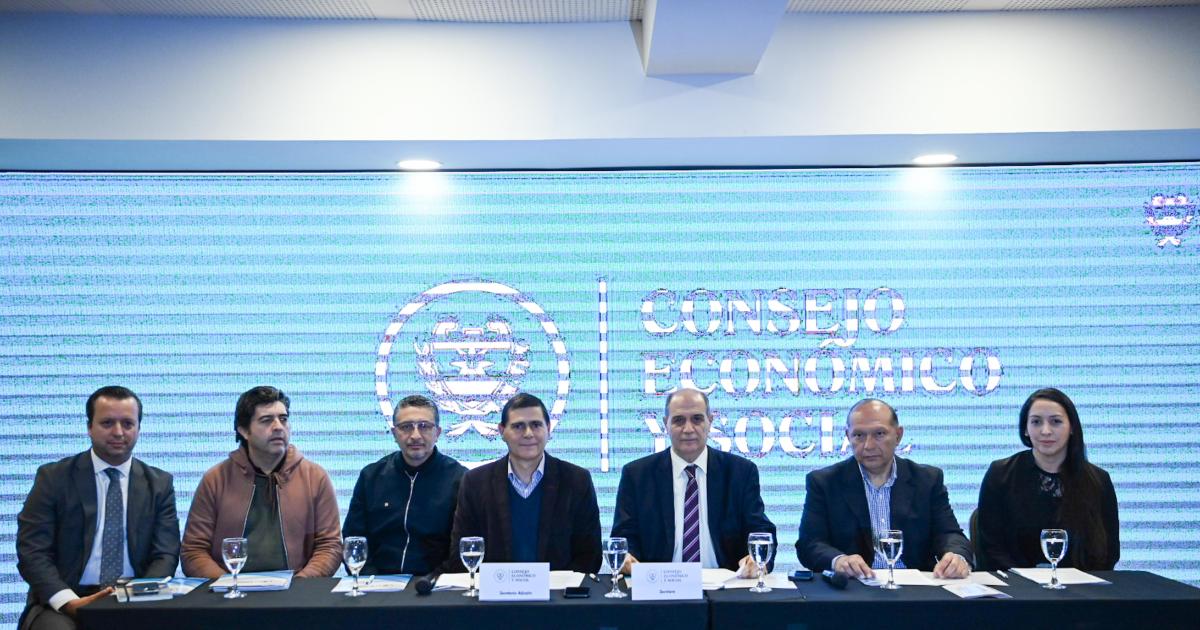 El Consejo Econoacutemico y Social de la provincia se reunioacute con el sector de la Agricultura Familiar y la Economiacutea Social