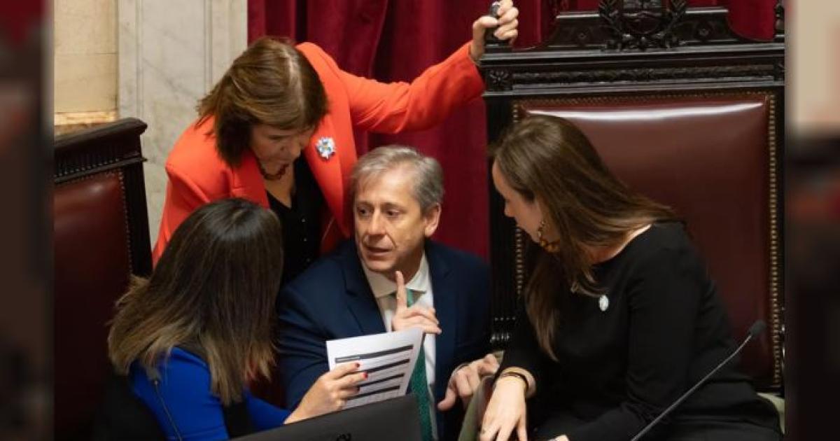El Senado desafioacute al Gobierno y aproboacute el pliego de Veroacutenica Michelli