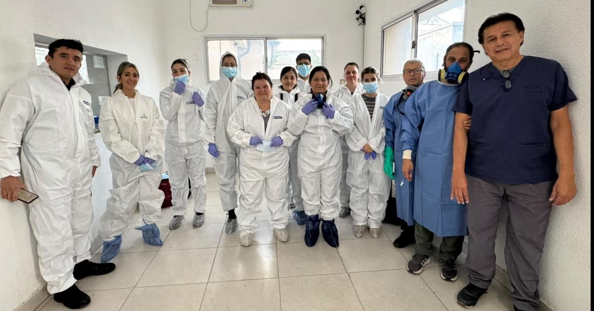 La ciencia investiga si los huesos del Dulce corresponden a Suaacuterez
