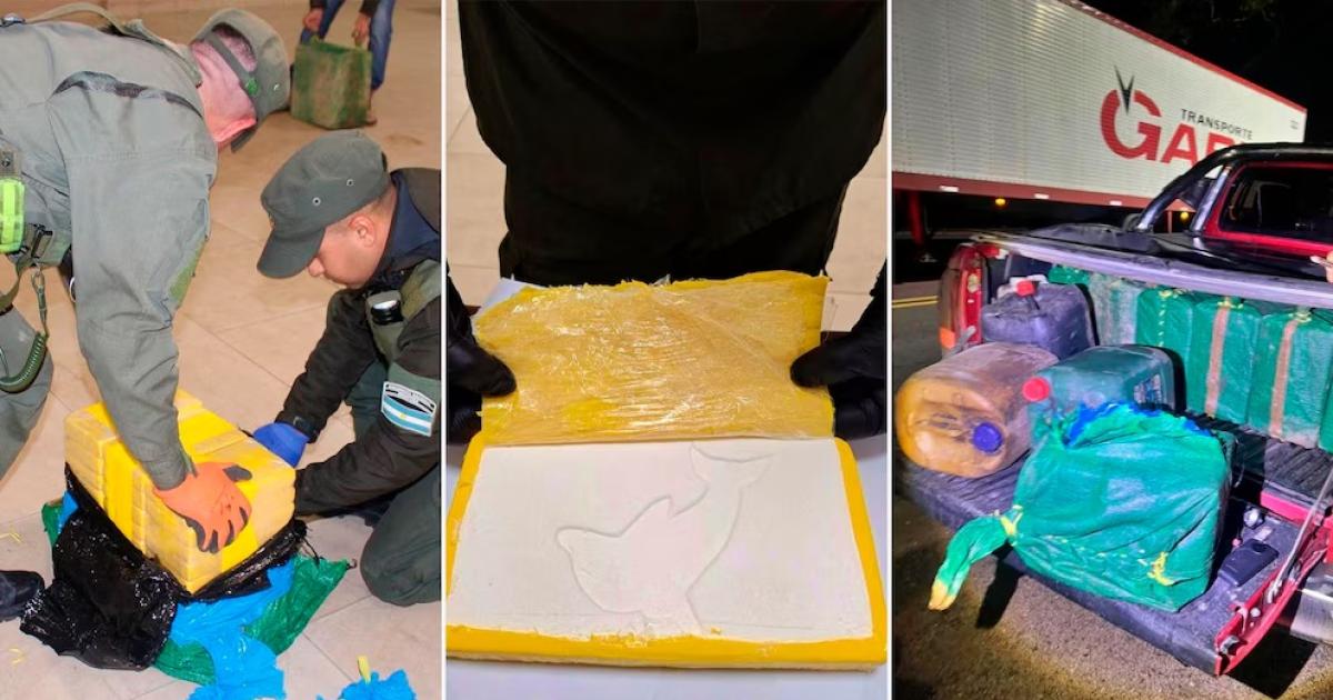 Llevaba cientos de kilos de cocaiacutena ocultos en una camioneta y fue descubierto en la ruta