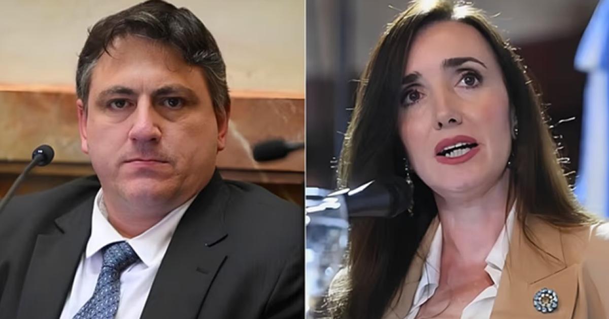 Se le estaacute cayendo la careta aseguroacute el senador Paoltroni sobre Villarruel