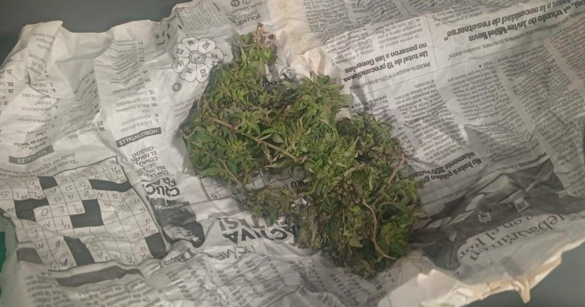 Aprehenden a un hombre y secuestran marihuana 