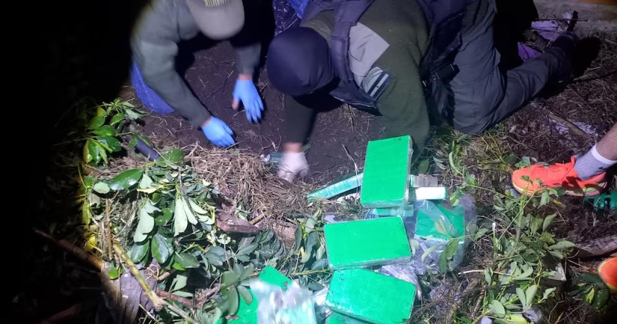 Encontraron casi 60 kilos de cocaiacutena enterrados en el patio de una casa y hubo un detenido