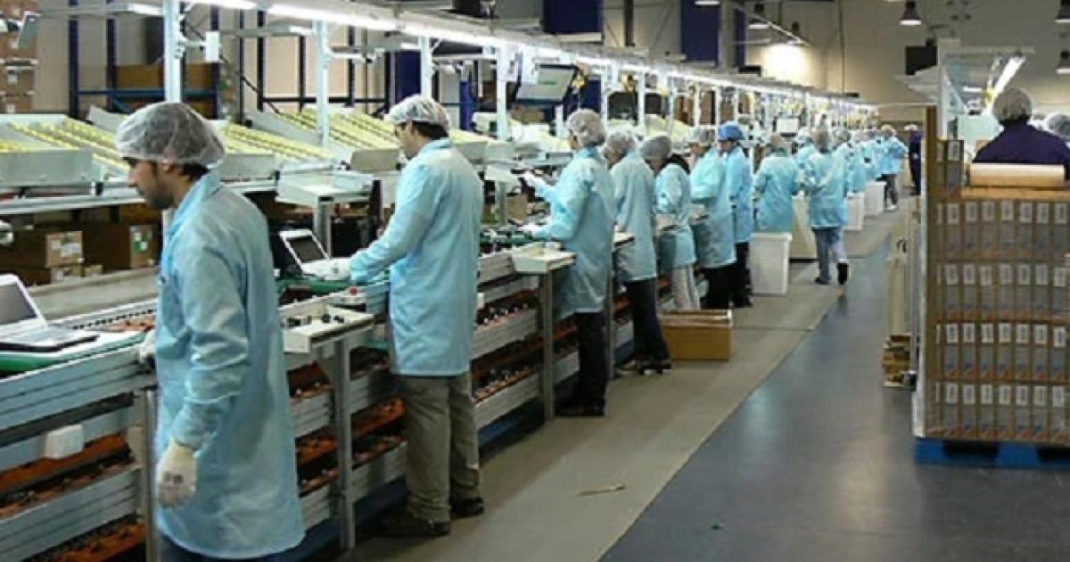 Por menos ventas gigante de los electrodomeacutesticos frena produccioacuten en el sur