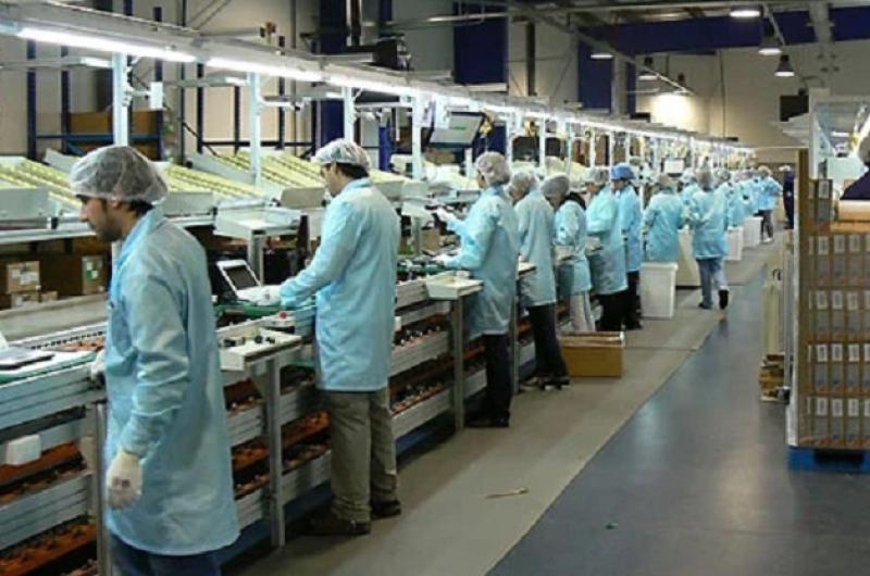 Por menos ventas gigante de los electrodomeacutesticos frena produccioacuten en el sur 