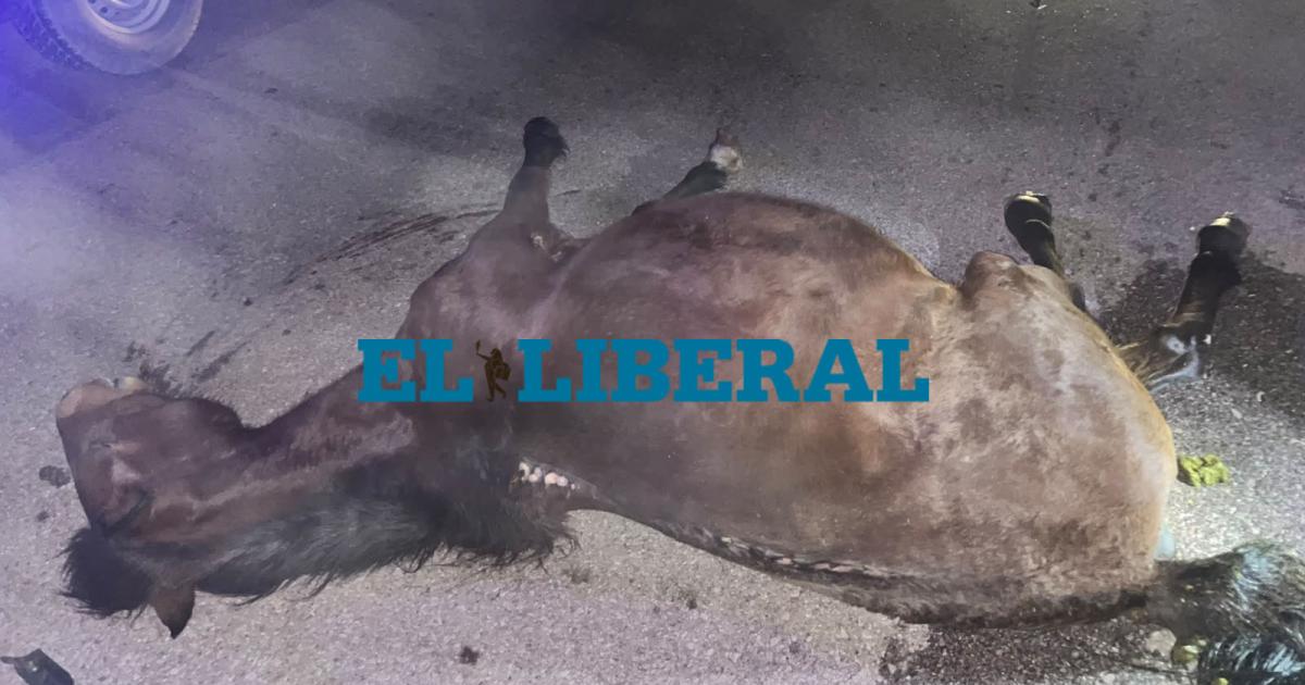 Viven de milagro tras chocar contra un caballo y despistarse en la RP92