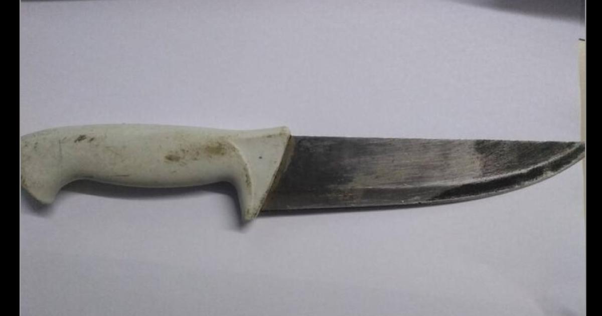 Amenazoacute de muerte a su pareja con un cuchillo carnicero y fue preso