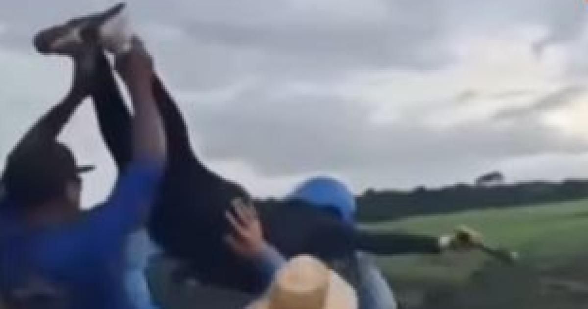 Foto captura del momento - Gentileza INFOBAE