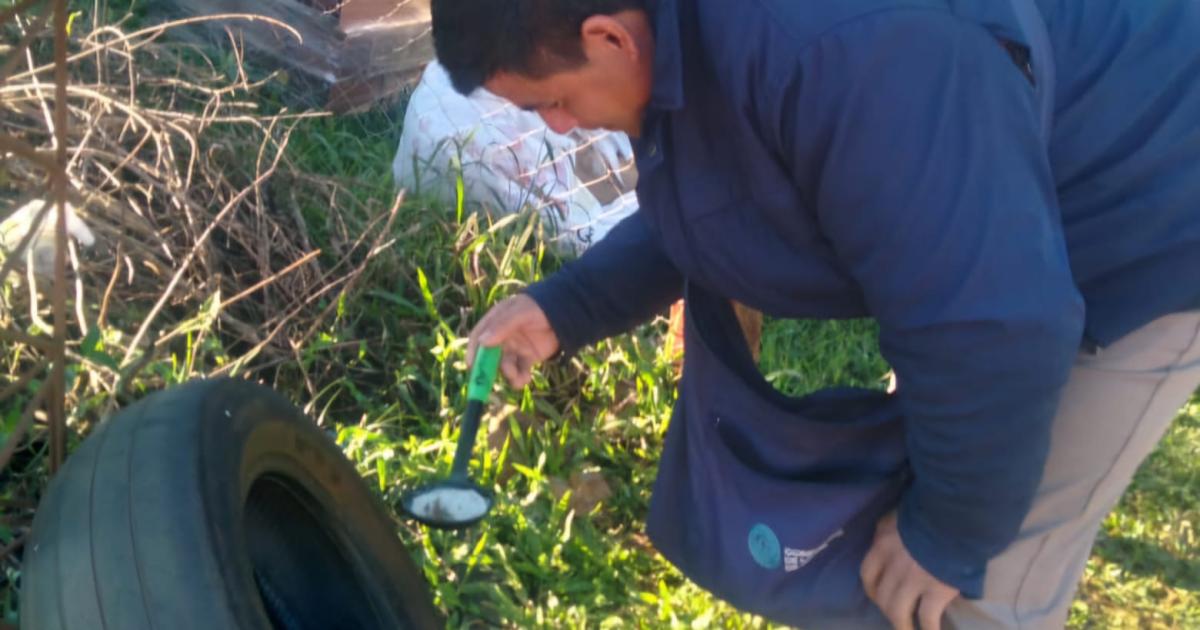 Destacan la necesidad de la prevencioacuten frente a una amenaza global de dengue en expansioacuten