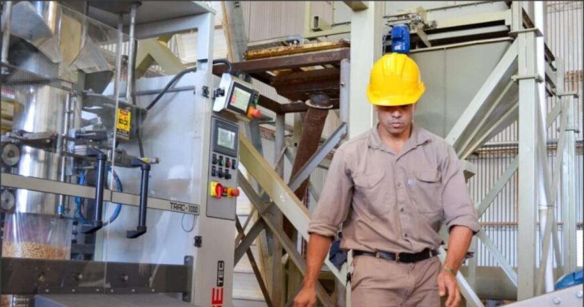 En un antildeo se perdieron casi 41 mil puestos de trabajo