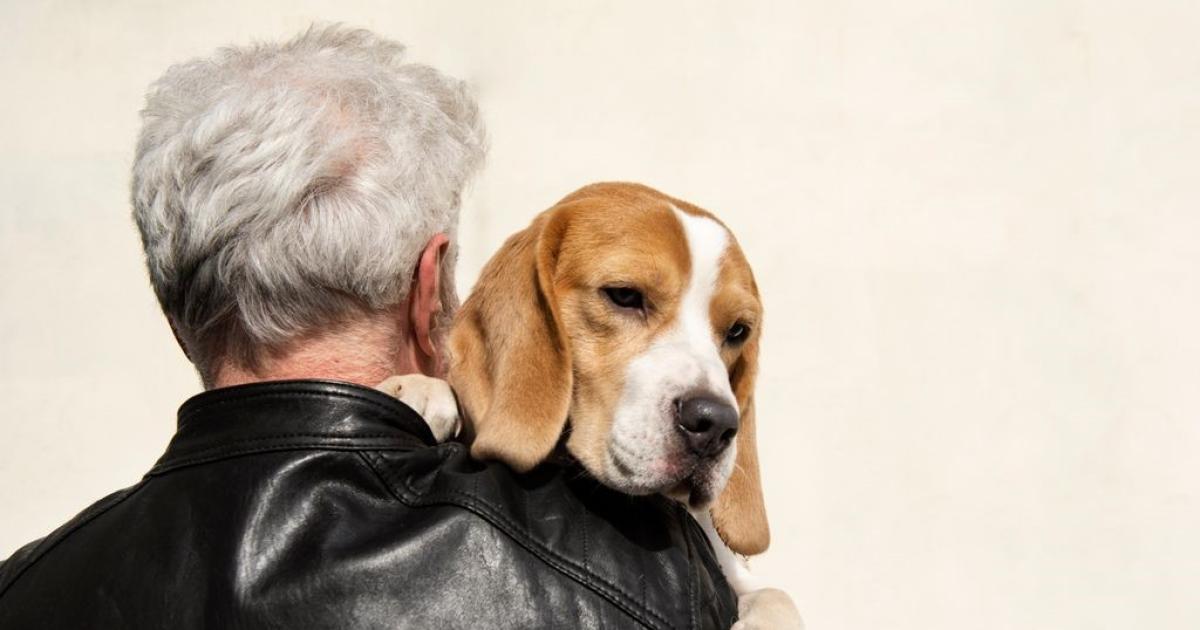 El motor de cuatro patas- los desafiacuteos y los beneficios de tener mascotas en la tercera edad