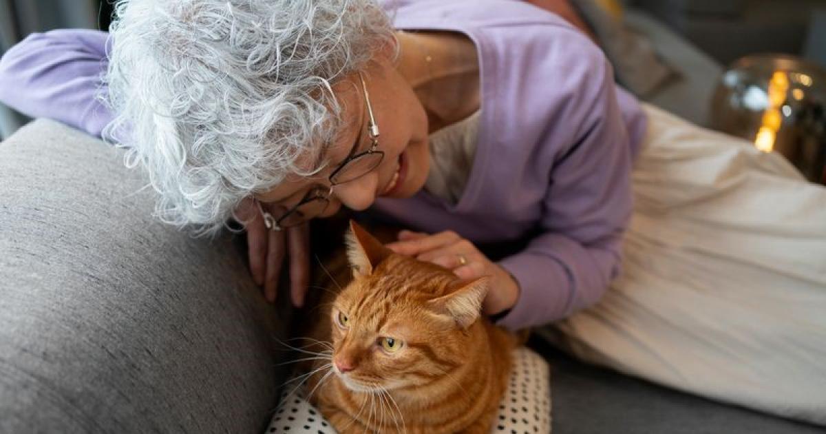El motor de cuatro patas- los desafiacuteos y los beneficios de tener mascotas en la tercera edad