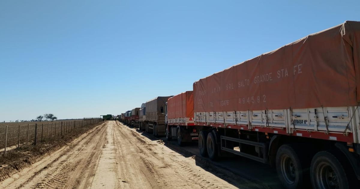 Dictan prisioacuten preventiva por balacera en guerra por soja de 1 milloacuten USD
