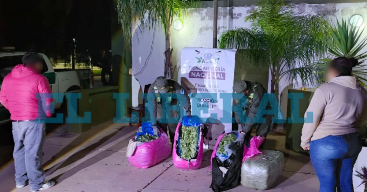 Secuestran un cargamento de Secuestran 768 kilos de hojas de coca en Santiago del Estero