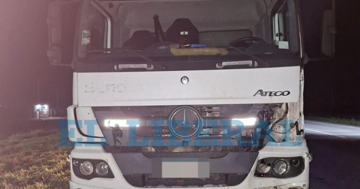 Un camioacuten chocoacute contra un caballo sobre la Ruta 9 y el animal murioacute en el acto