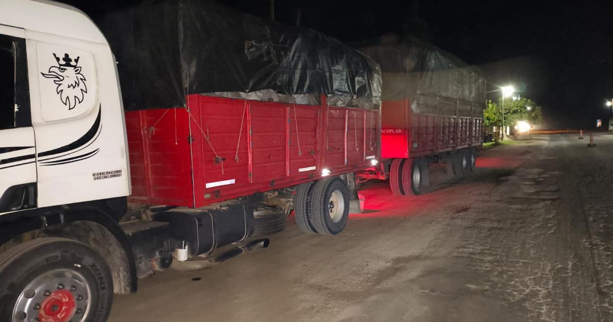 Interceptan un camioacuten que llevaba carboacuten vegetal valuado en maacutes de 12000000