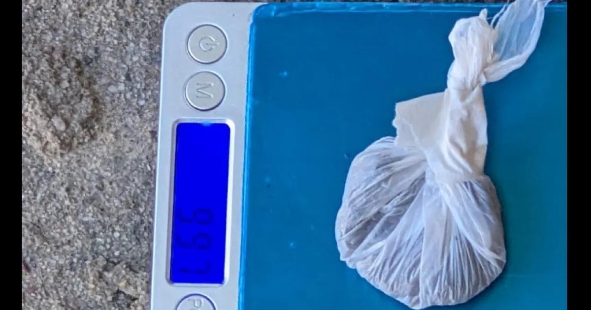 Ocultaron marihuana y cocaiacutena dentro de un pollo asado y fueron aprehendidas