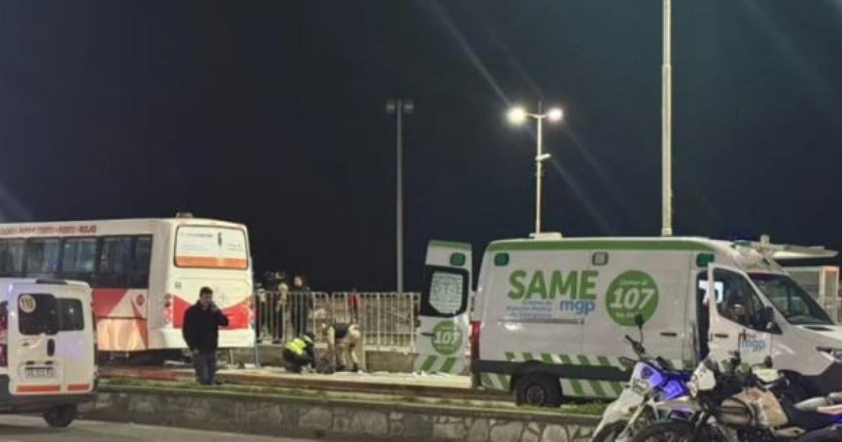 Tragedia en Mar del Plata- un colectivo atropelloacute a varias personas y hay al menos un muerto