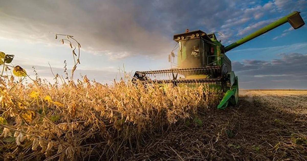 Dato refleja que el campo perdioacute rentabilidad con relacioacuten a 2023