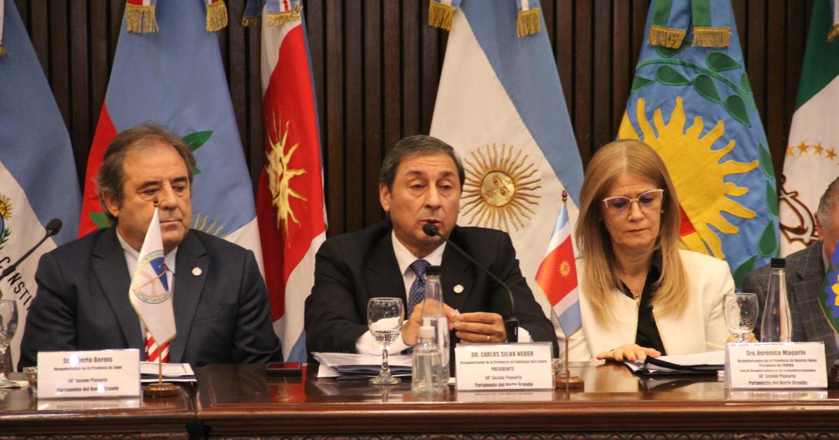 Silva Neder- Sin Norte Grande no hay nacioacuten porque el federalismo no se declama sino se ejerce con presupuesto y trabajo