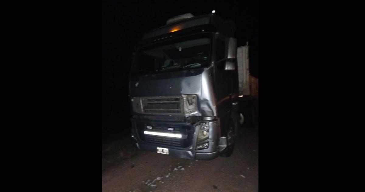 Un animal en la ruta casi provoca otra tragedia en Ruta 34