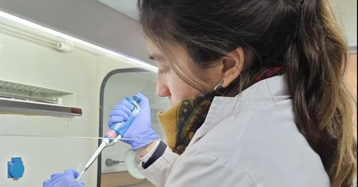 Una biotecnoacuteloga formada en la Unse trabaja en la clonacioacuten de caballos de polo