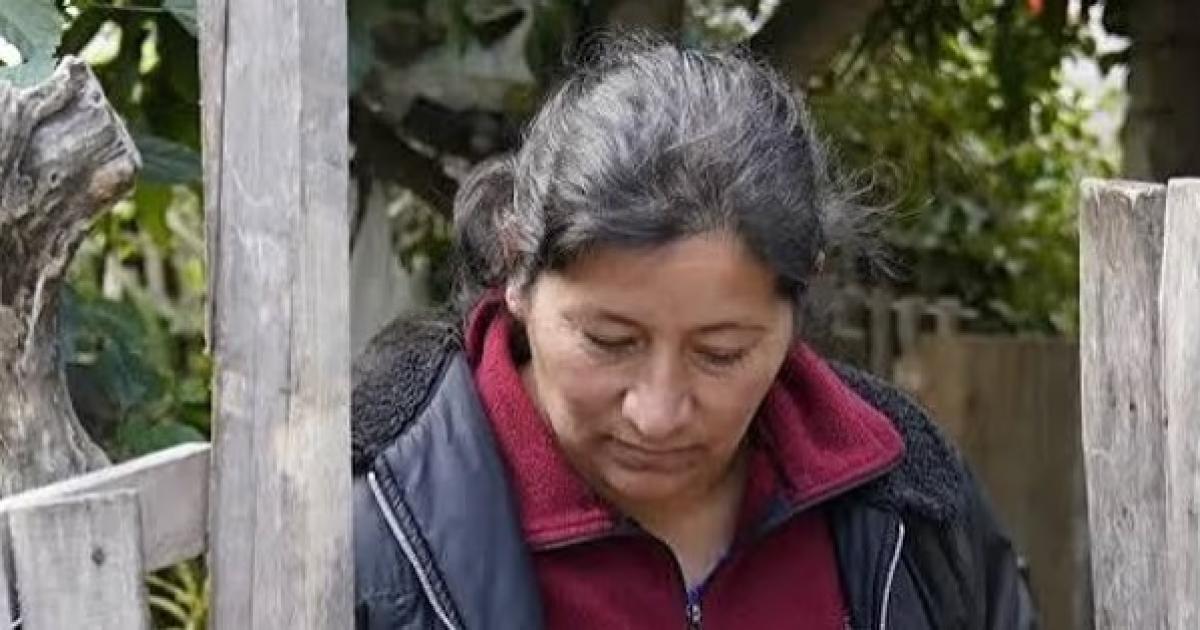 Caso Loan- la fiscal apunta a Laudelina y sospecha que se plantoacute evidencia para desviar la investigacioacuten