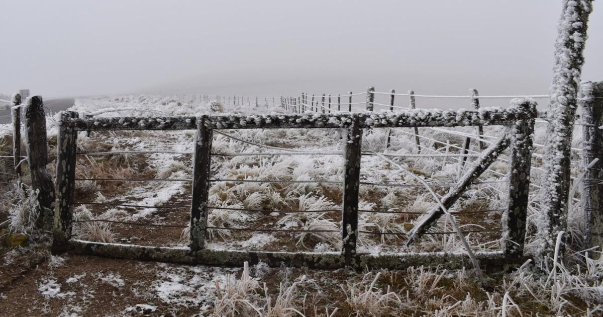 Impactantes fotos- con temperaturas de -3degC la nieve regresoacute a Guayamba y dejoacute postales inolvidables