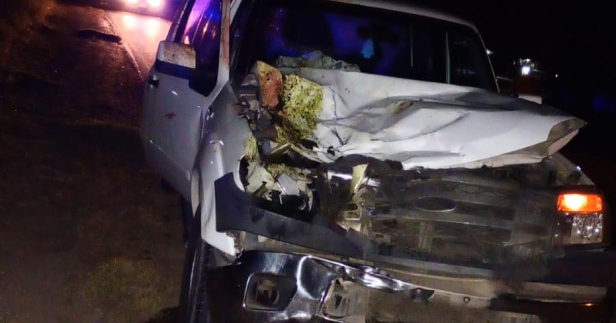 Prefecto y alcaide mayor chocaron contra un animal