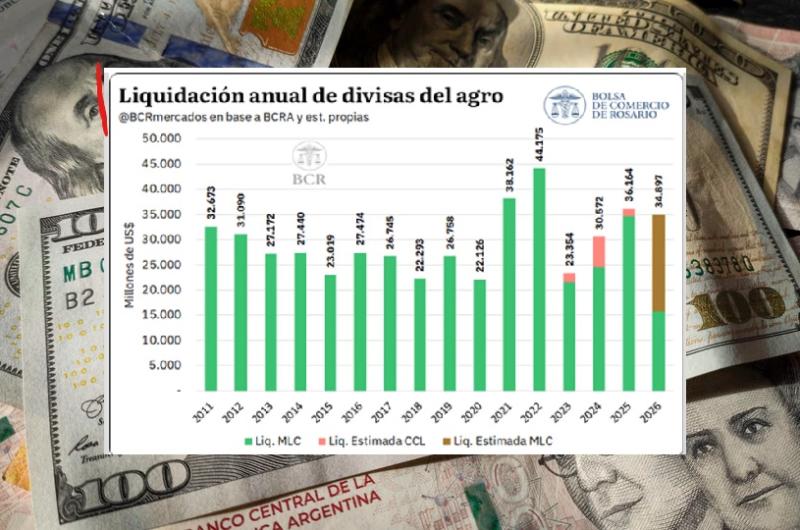 Estiman un menor ingreso de divisas del agro en 2026