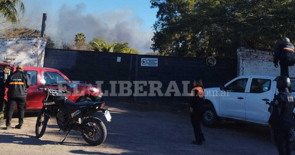 Impactante hallazgo en La Banda- encontraron cinco pumas tras un incendio en un predio