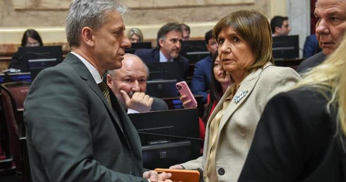 El Gobierno acelera su agenda en el Senado- busca aprobar la ley Hojarasca y avanzar con la reforma electoral