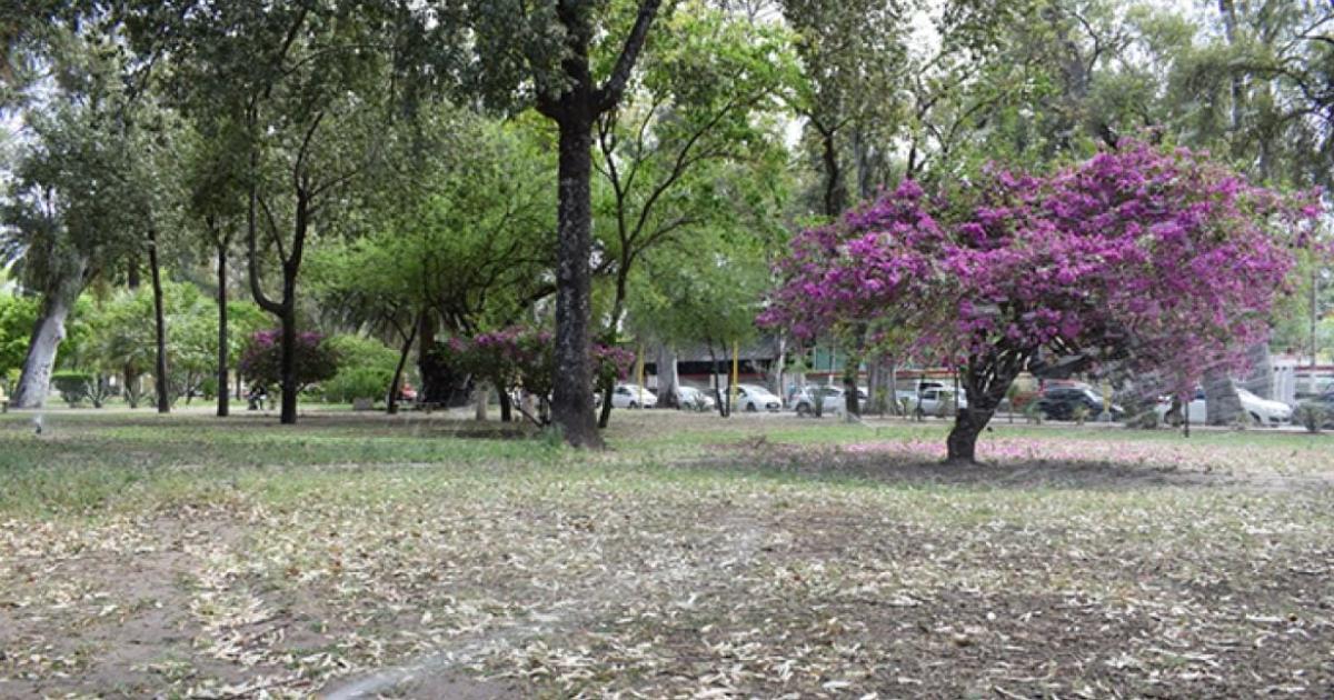 El mieacutercoles tendraacute un diacutea agradable y sin lluvias en Santiago