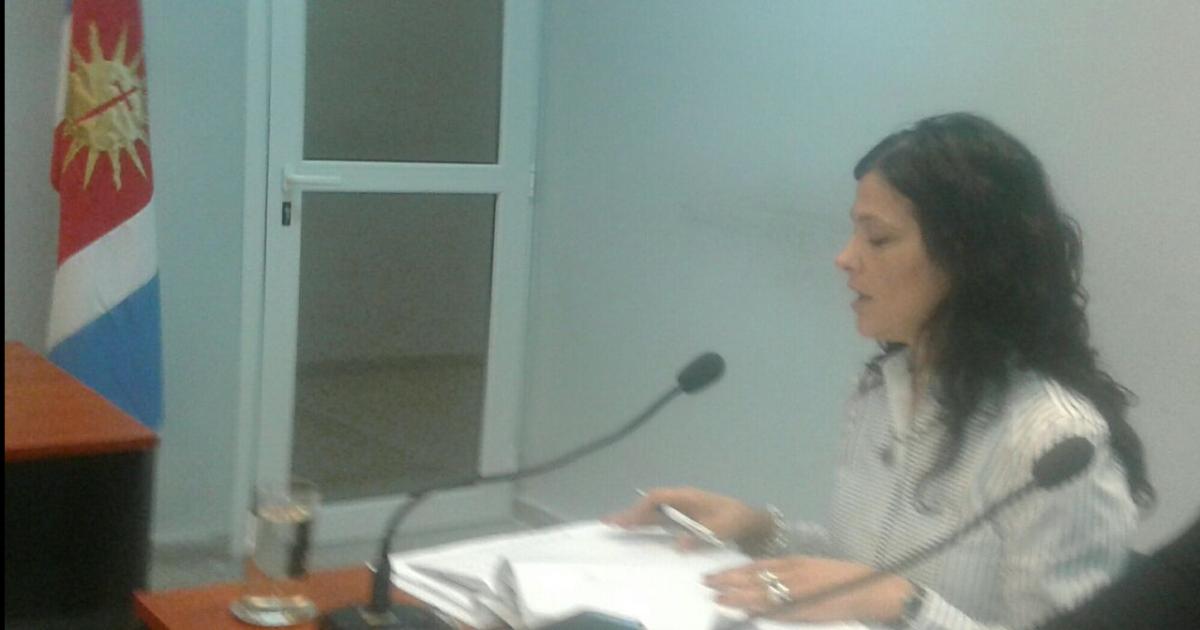 Cuatro Pitbulls sembraron paacutenico en una vivienda- una joven mujer terminoacute herida