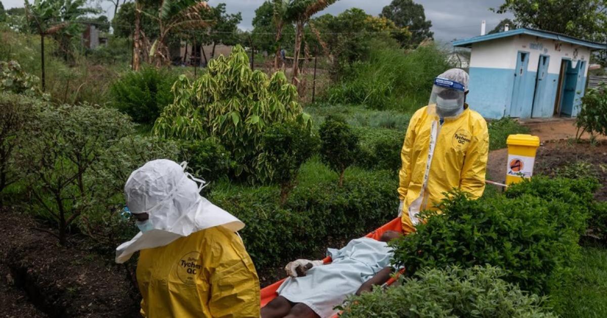 Alarma mundial en el Congo- el brote de eacutebola causoacute 648 muertes