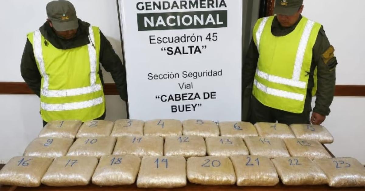 Descubrieron 25 kilos de marihuana ocultos en un camioacuten durante un control sobre la Ruta 934