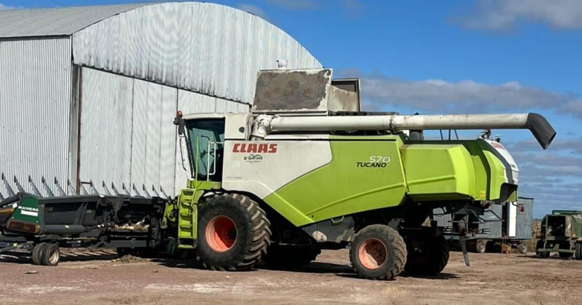 Empresario espantildeol denuncioacute robo de 300 millones en una cosecha de maacutes de 105 ha de maiacutez