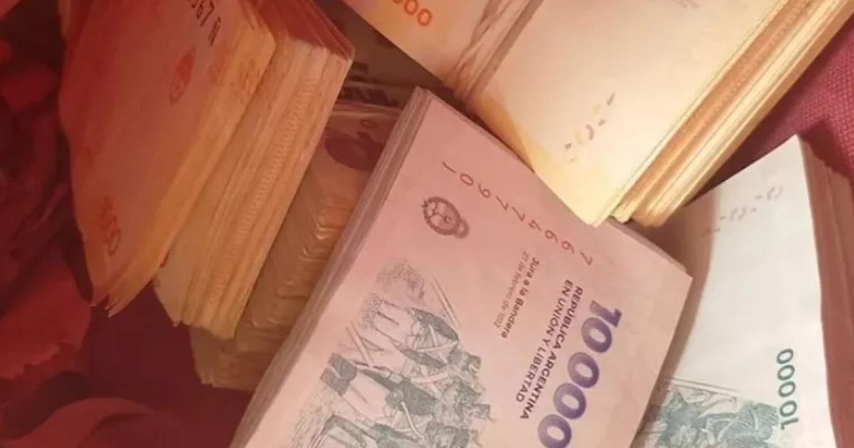 Insoacutelito en Friacuteas- denuncioacute el robo de 1500000 pero la policiacutea descubrioacute que ella misma lo habiacutea tirado a la basura