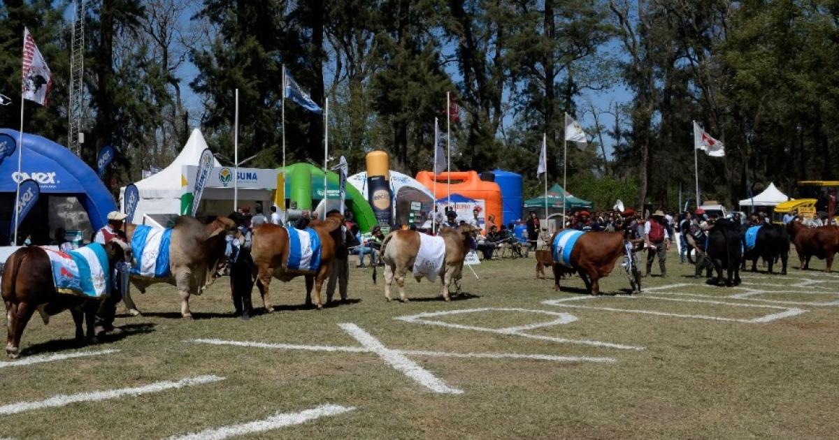 La provincia haraacute hoy la presentacioacuten oficial de la ExpoBra 2026 en La Rural de Buenos Aires