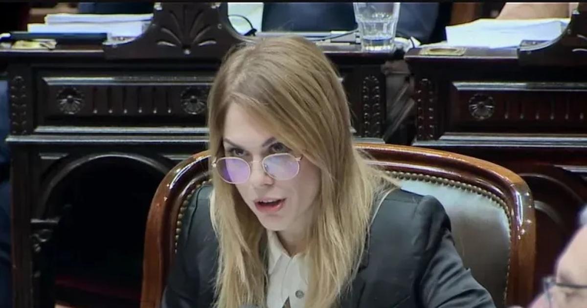 Si sancionan a la Seleccioacuten es culpa de ella- Lemoine apuntoacute contra Villarruel