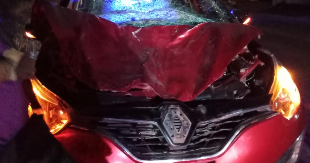 Un caballo suelto provocoacute un fuerte siniestro vial en la zona de Maco