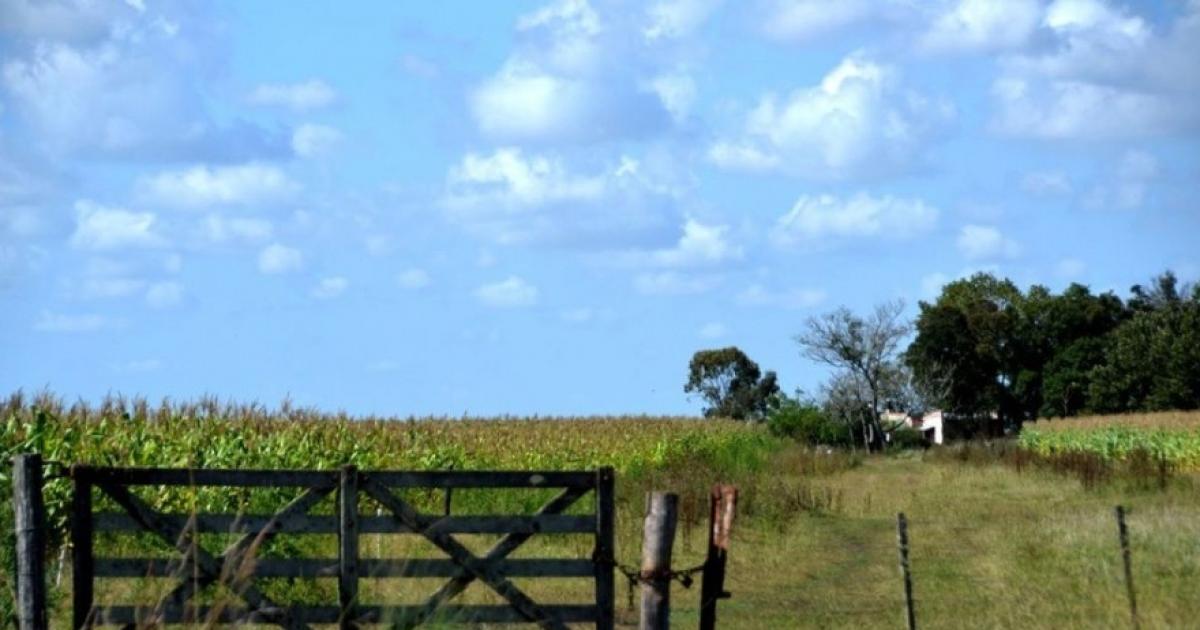 La Moratoria 2026 ya supera los 4630 millones y un 40-en-porciento- de los planes de pago fueron de contado