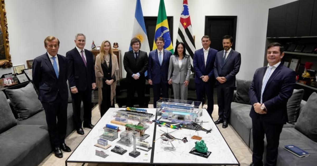 Milei en Brasil respaldoacute a Flaacutevio Bolsonaro- Vinimos a acompantildear la ola azul