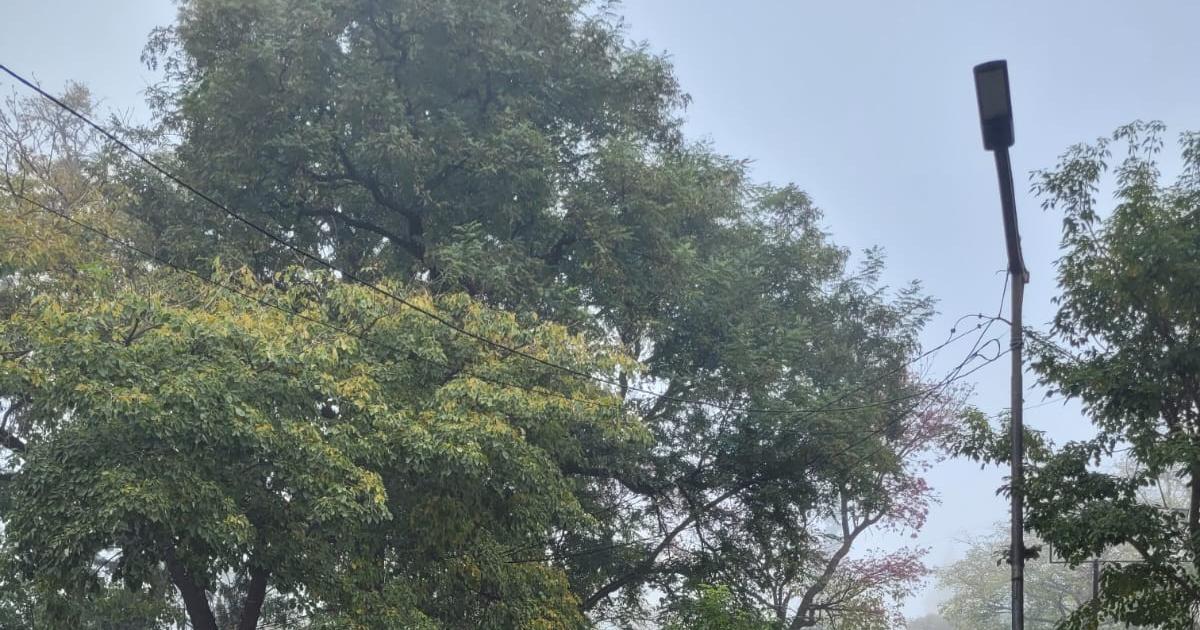 Una densa neblina cubrioacute gran parte de la ciudad de Santiago del Estero 