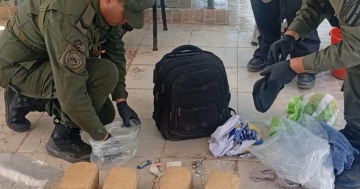 En dos procedimientos descubrieron que tres mujeres y un menor de edad trasladaban 7 kilos de cocaiacutena y 10 kilos de marihuana