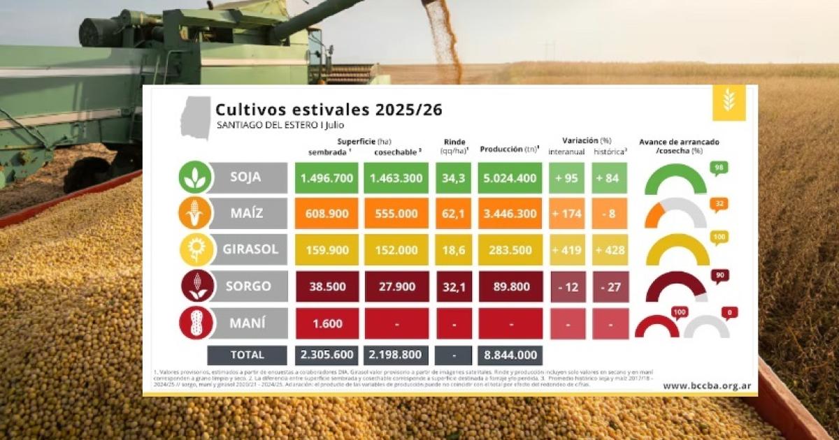 La cosecha de granos 202526 en Santiago marca su mayor produccioacuten de los uacuteltimos 4 antildeos